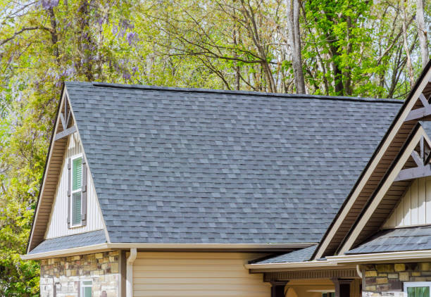 Best Asphalt Shingle Roofing  in Sandusky, MI